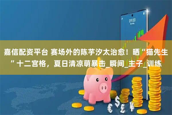 嘉信配资平台 赛场外的陈芋汐太治愈！晒“猫先生”十二宫格，夏日清凉萌暴击_瞬间_主子_训练